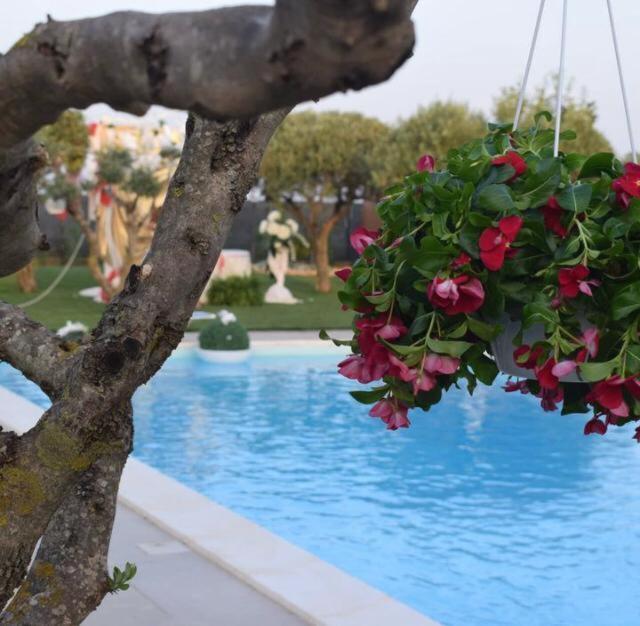 B&B Villa Antonella Piazza Armerina Exterior foto